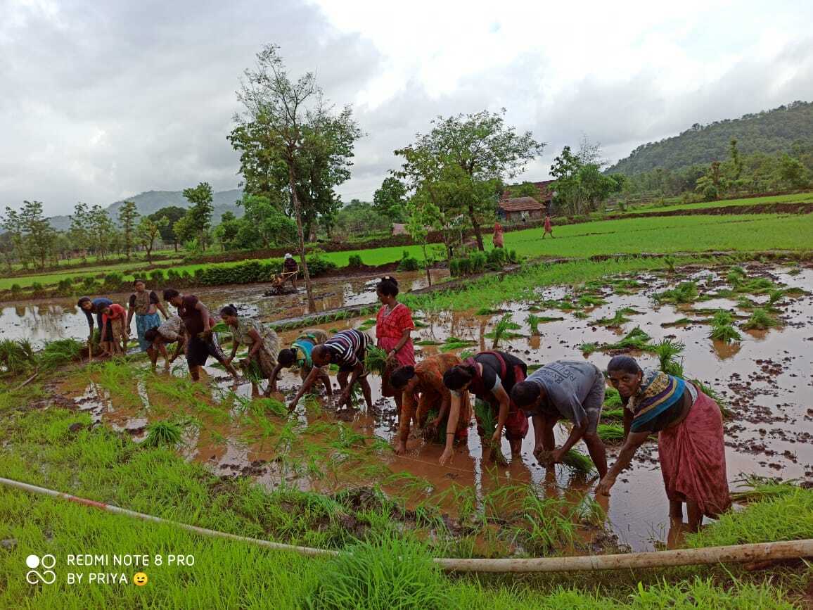 गावातील फोटो 11